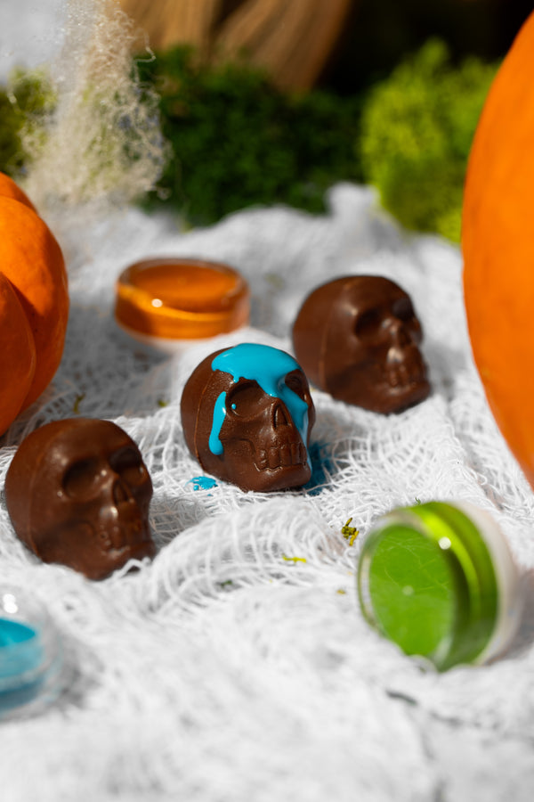 Bean to Bone Paint Kit Set